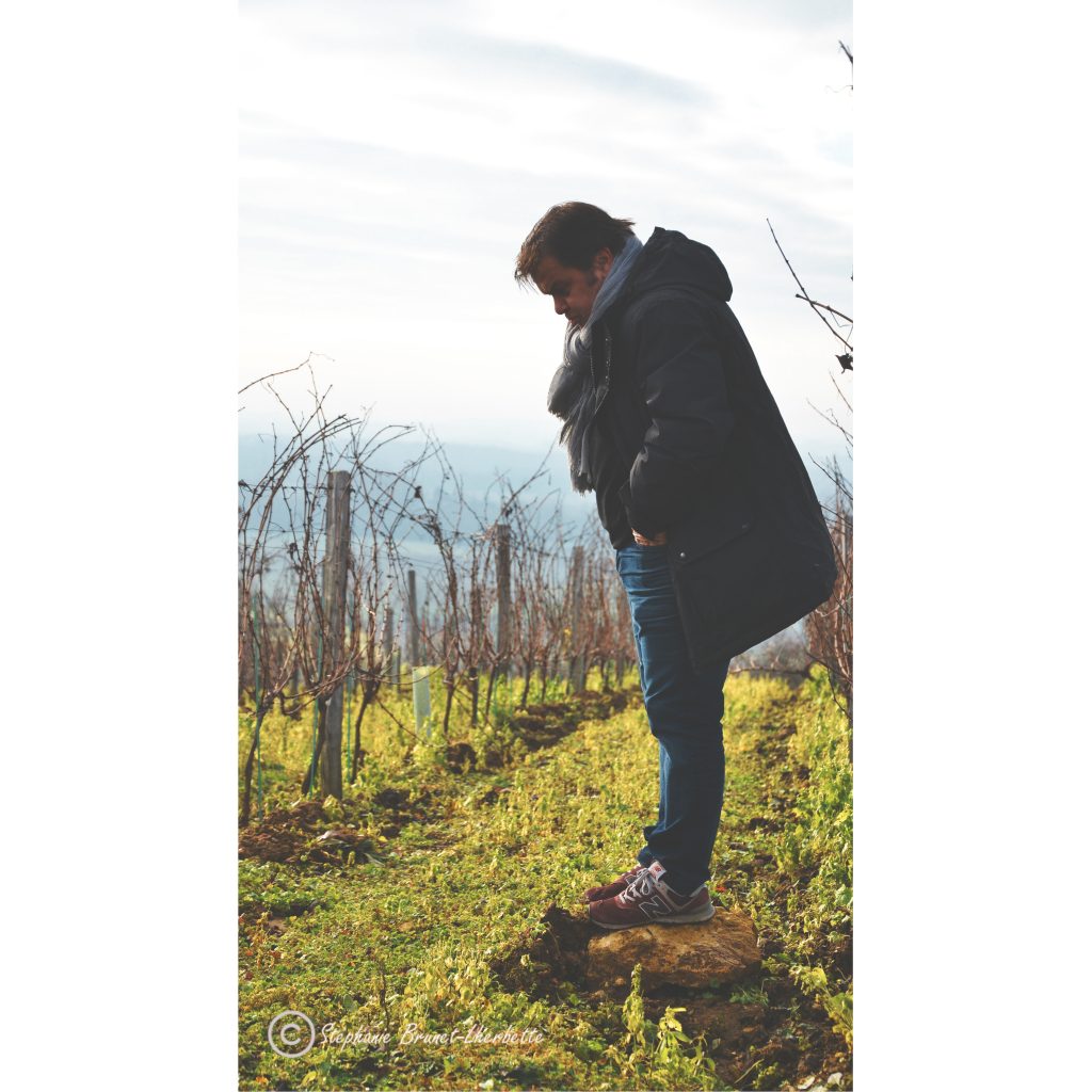 illustration-frederic-sigonneau-domaine-de-l-r-artisan-vigneron-dans-ces-vignes-vallee-de-la-loire