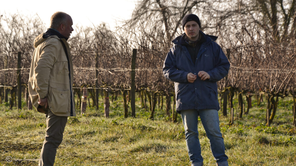 illustration-bastien-rocour-vigneron-valle-de-la-loire-damien-lherbette-caviste-touques-normandie-vignes